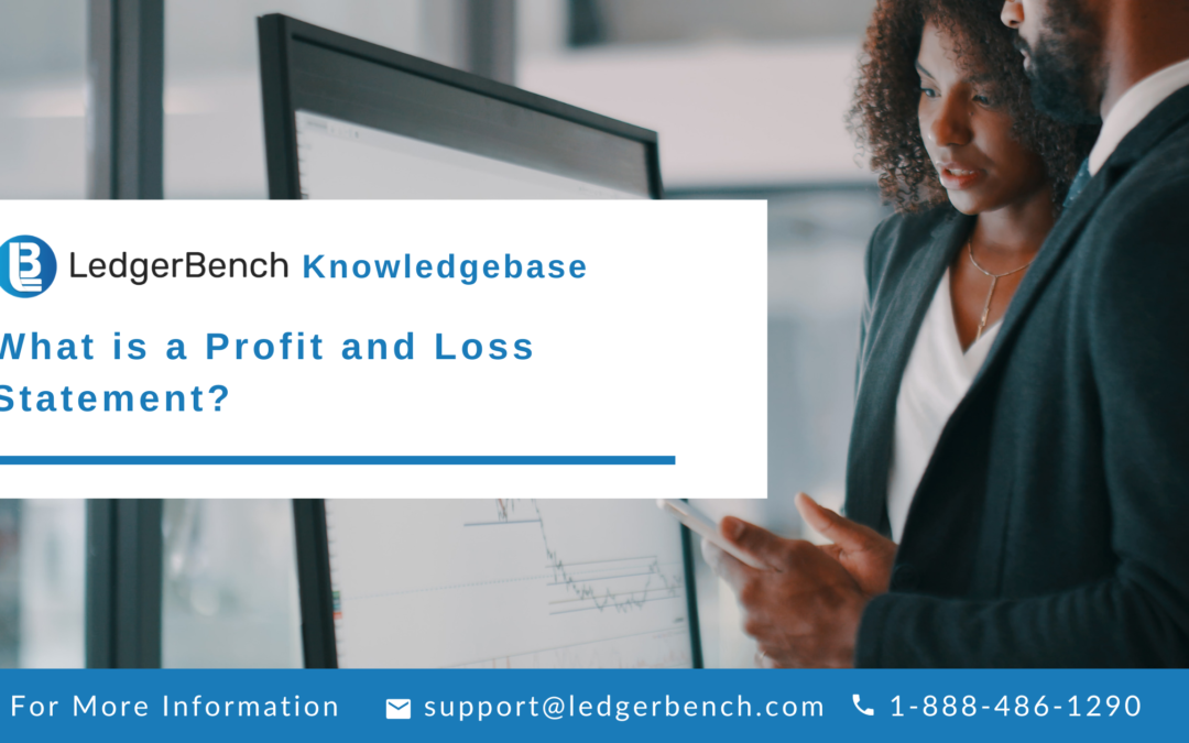 What is a Profit and Loss Statement?