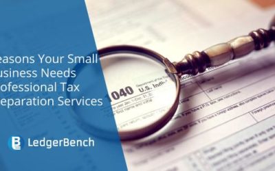 Reasons Your Small Business Needs Professional Tax Preparation Services